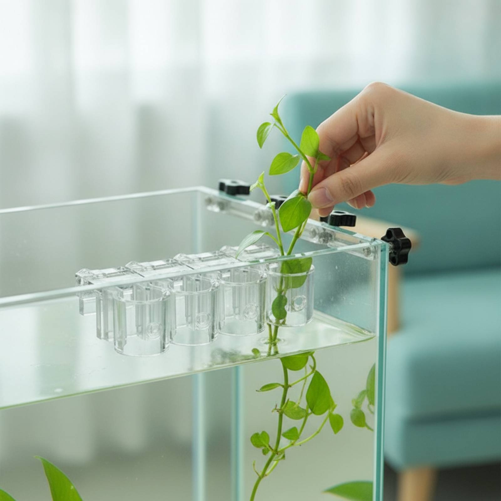 Aquarium Plants - 6 Parça Akvaryum Ekici Şeffaf Hidroponik