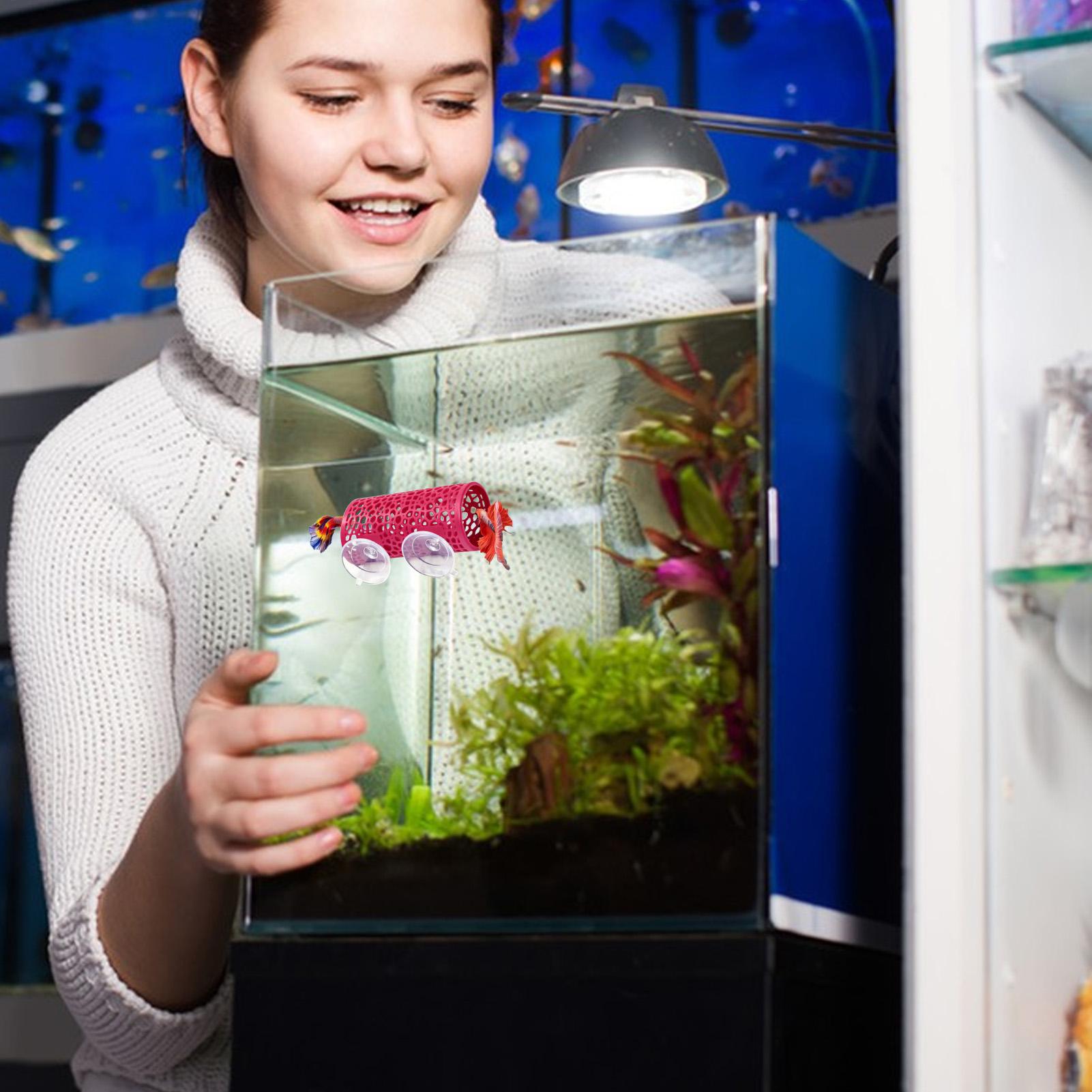 Aquarium Fish Betta - Betta Habitat Dinlenme Barınağı Süs Balık