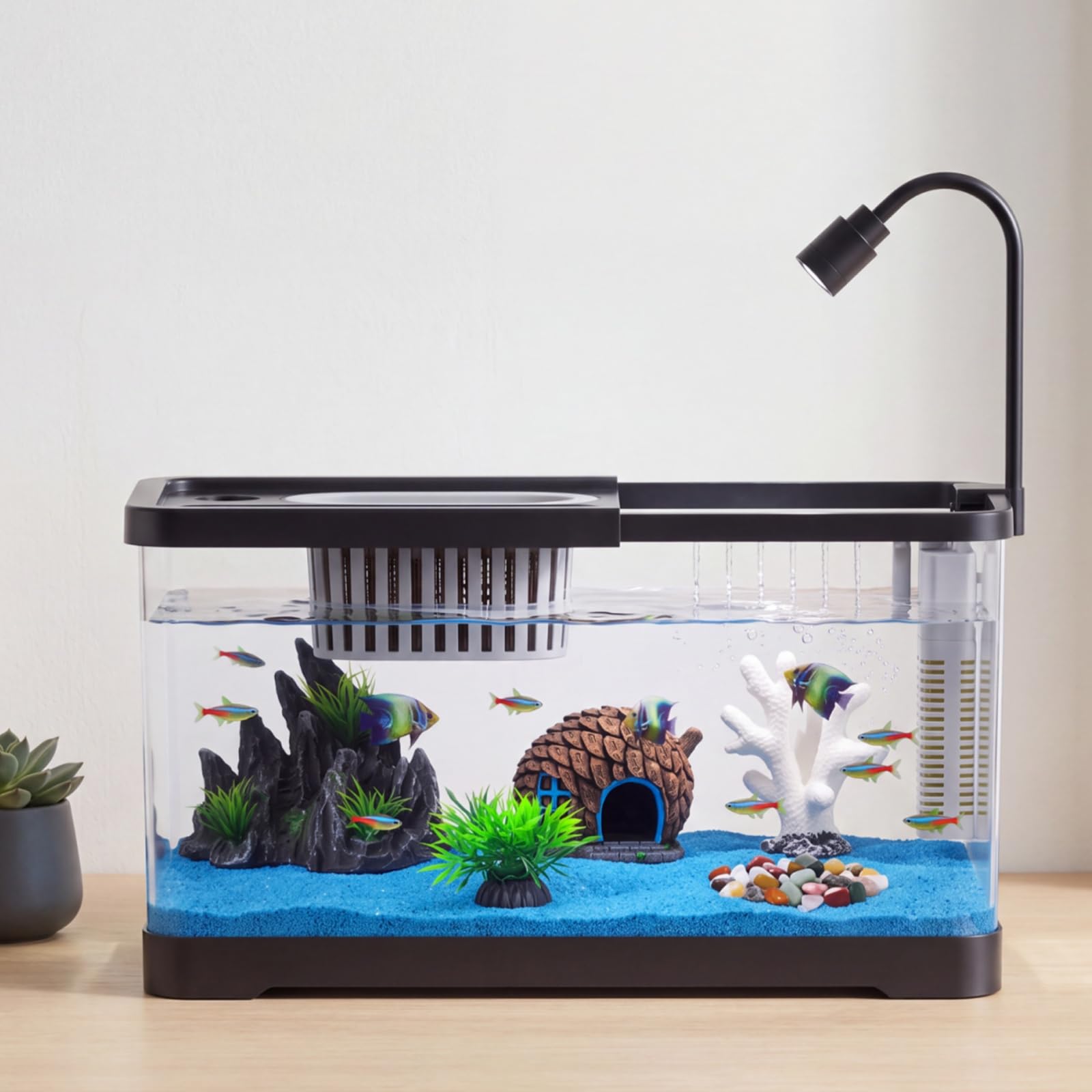 Aquarium Fish Betta - Balık Tankı Başlangıç Seti, Filtre ve