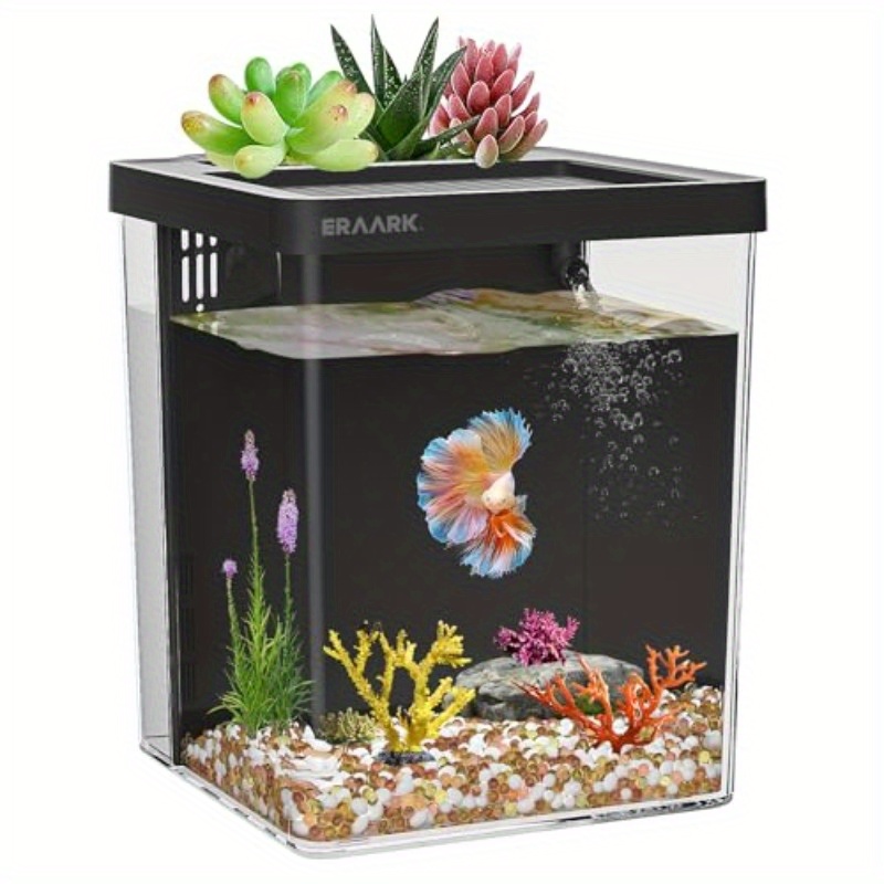 Aquarium Fish Keeping - Ofis/Ev Masaüstü Akvaryumu Filtreli Başlangıç Seviyesi
