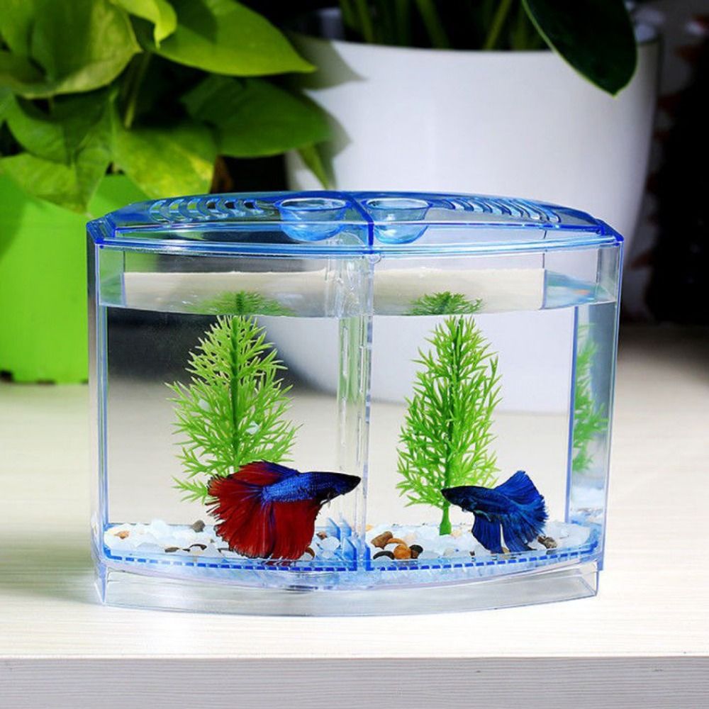 Aquarium Fish Betta - Şeffaf Betta balık tankı, çift ızgara