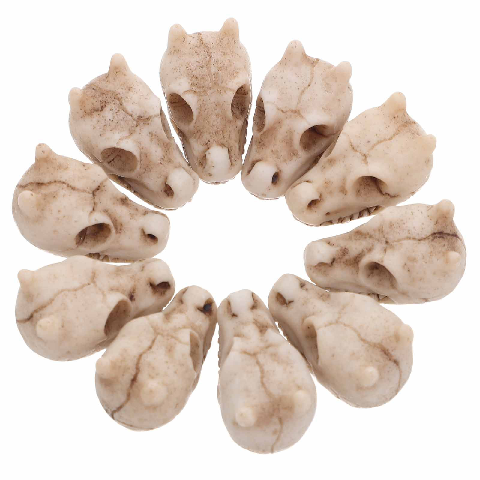 Aquarium Decor - 20 Adet Mini Ejderha Kafatası Reçine,