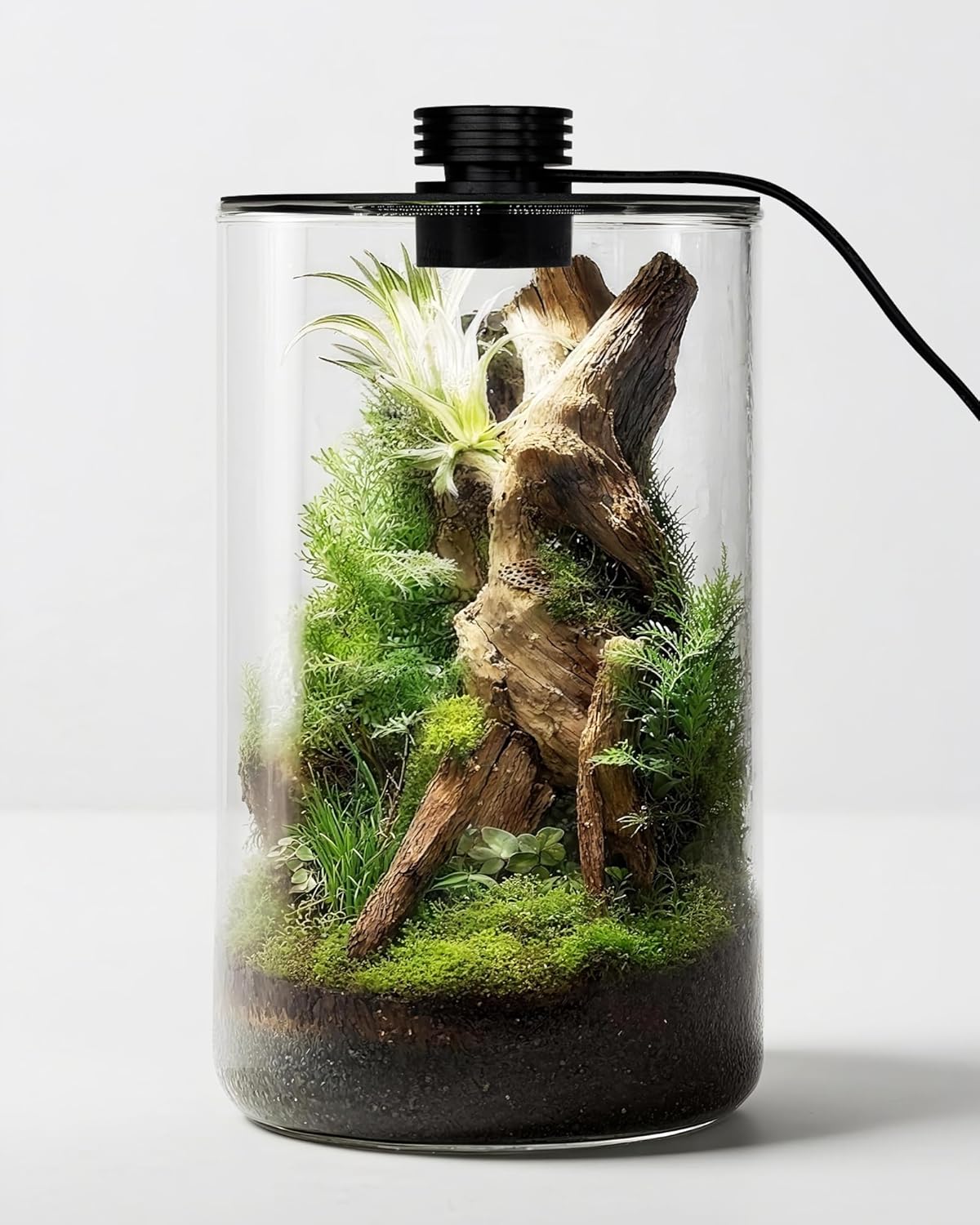 Betta Fish Tank - İç Mekan Cam Teraryumu, Büyütme Lambasıyla,