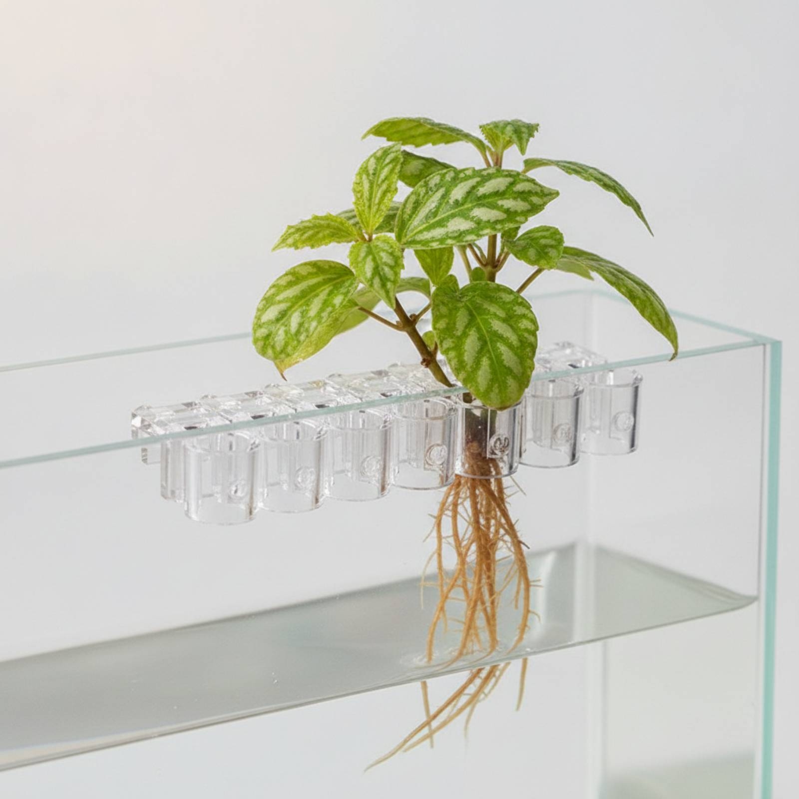 6 Parça Akvaryum Ekici Şeffaf  - Aquarium Plants incelemesi ve fiyatı