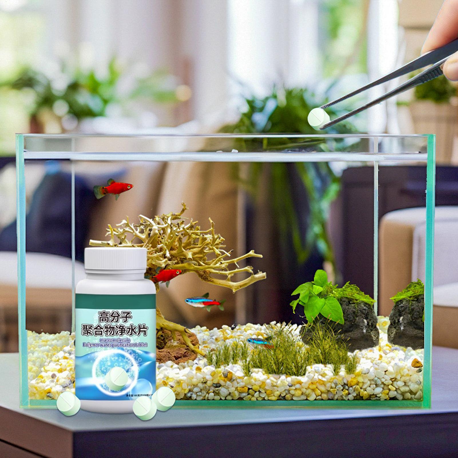 Balık Tankı Yosun Giderici Akv - Aquarium Fish Betta incelemesi ve fiyatı