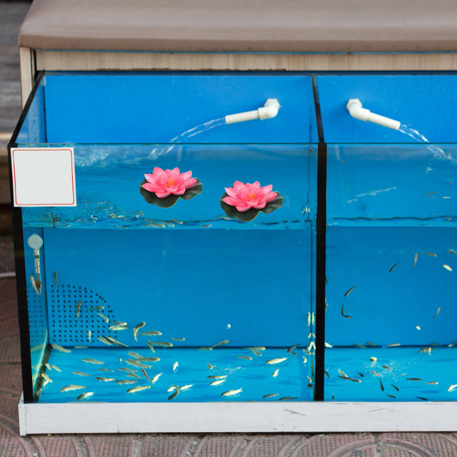 12 Adet Yapay Yüzen Su Çiçeği, - Aquarium Decor incelemesi ve fiyatı