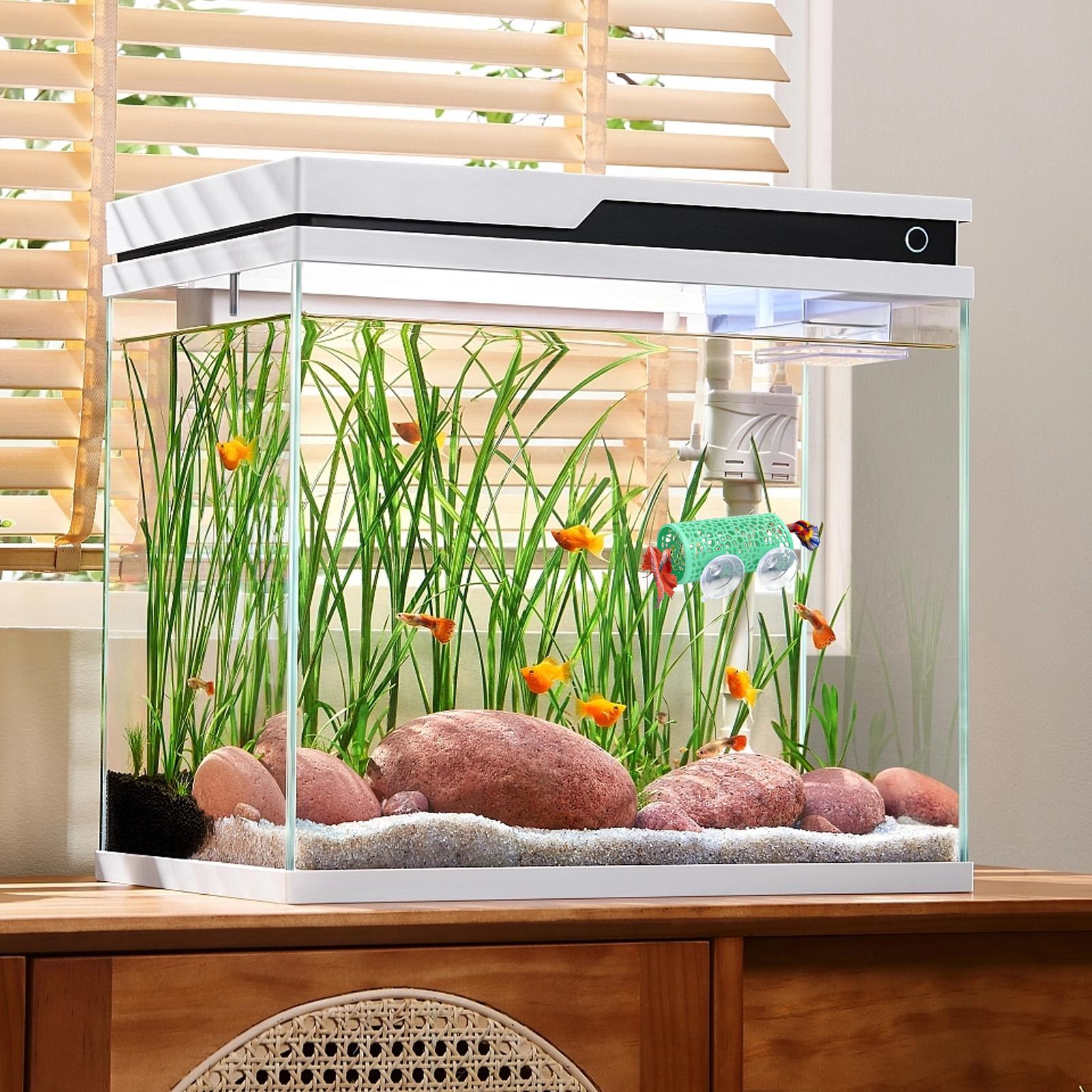 Betta Habitat Dinlenme Barınağ - Aquarium Fish Betta incelemesi ve fiyatı