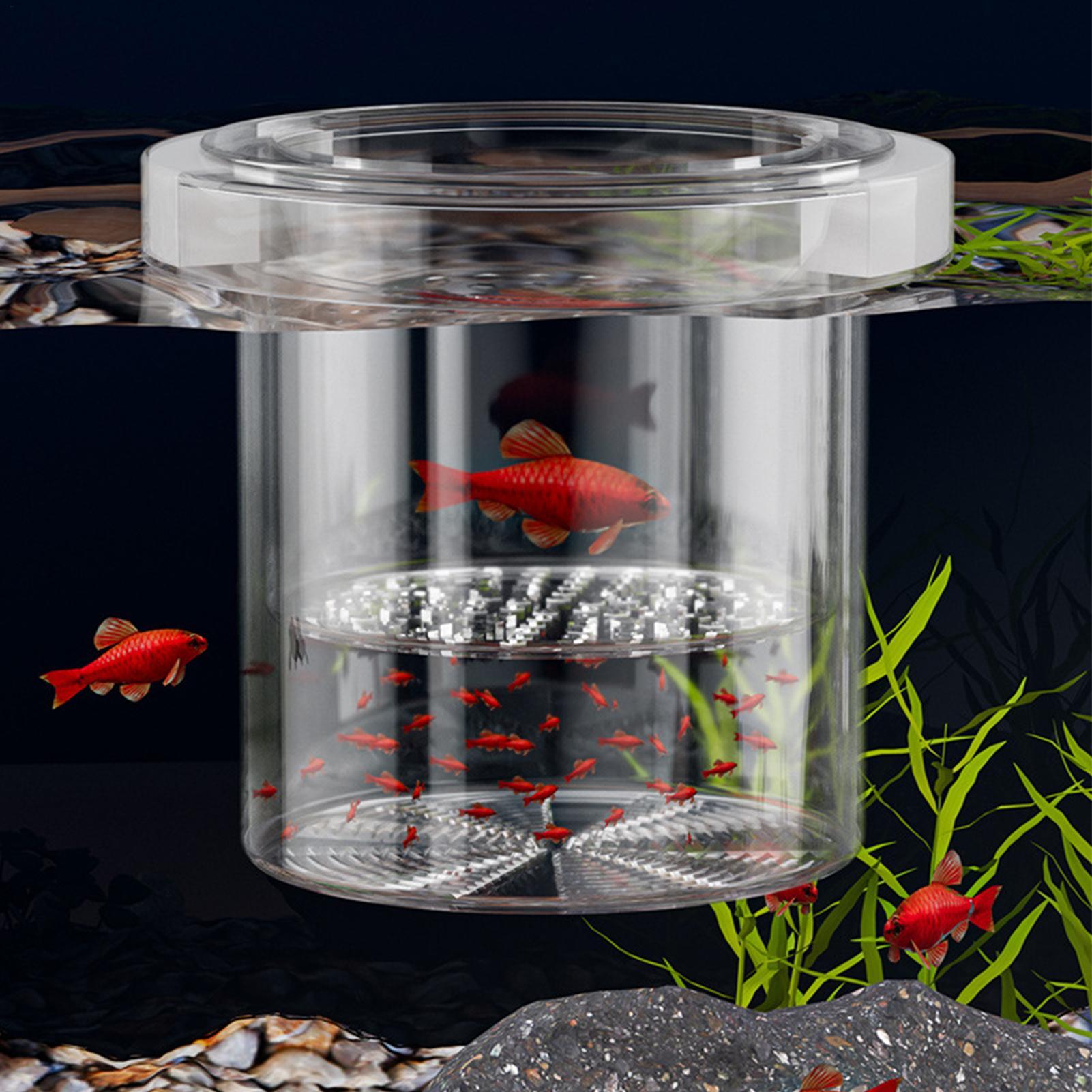 Dayanıklı Balık Yetiştirme Kut - Betta Fish Tank incelemesi ve fiyatı