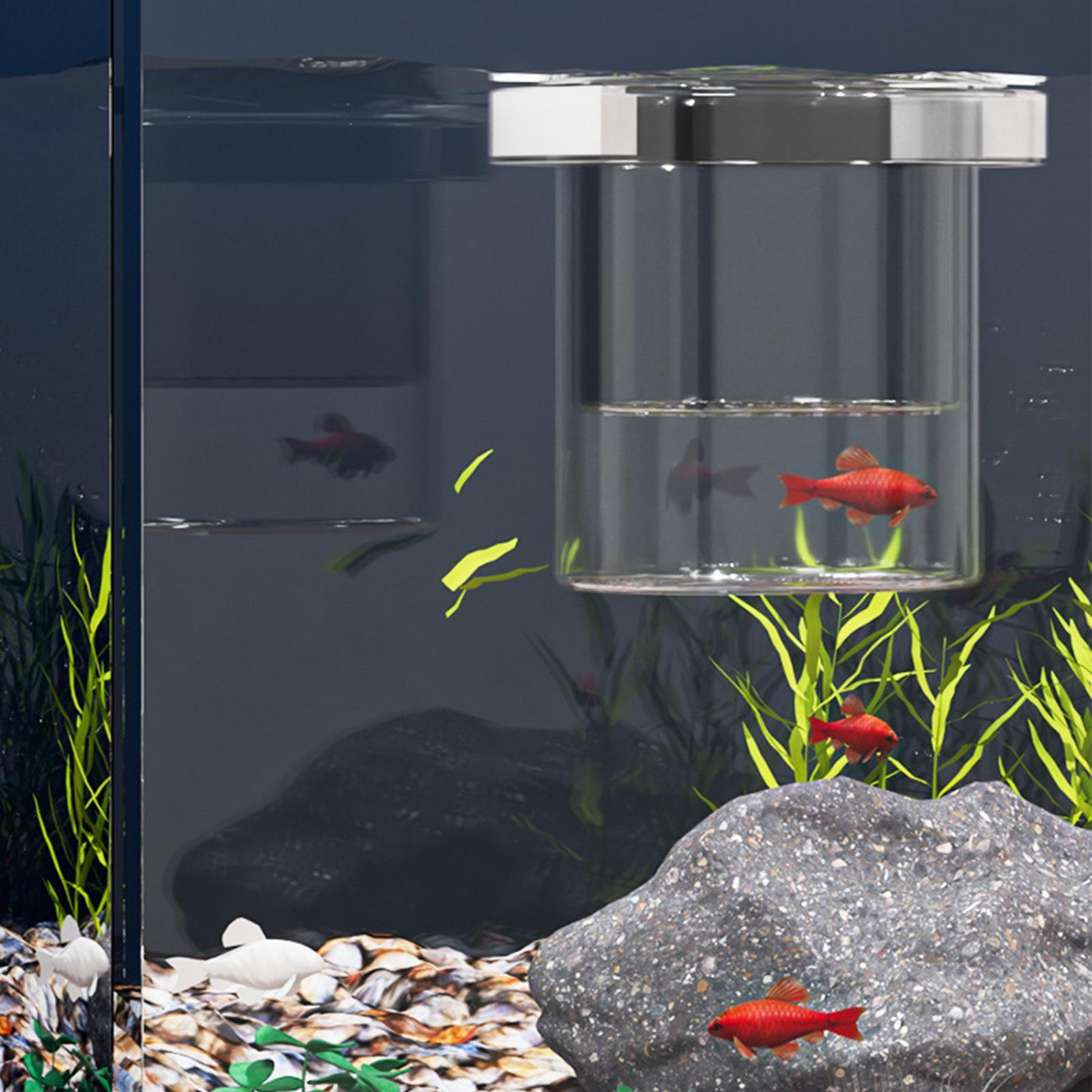 Dayanıklı Balık Yetiştirme Kut - Betta Fish Tank incelemesi ve fiyatı