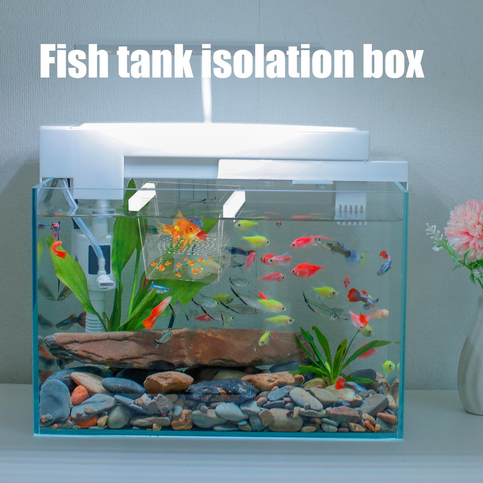 Dayanıklı Balık Yetiştirme Kut - Betta Fish Tank incelemesi ve fiyatı
