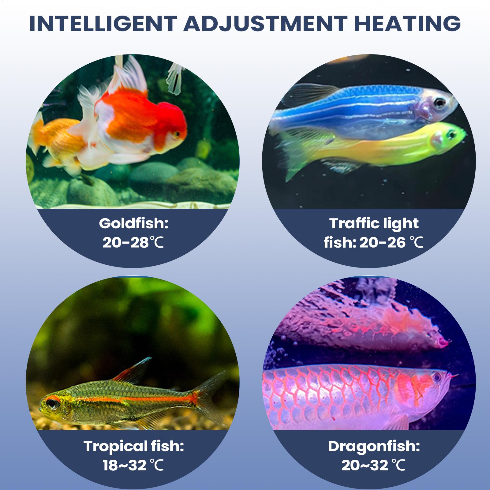 Akvaryum Hava Pompası Taşınabi - Aquarium Pump incelemesi ve fiyatı