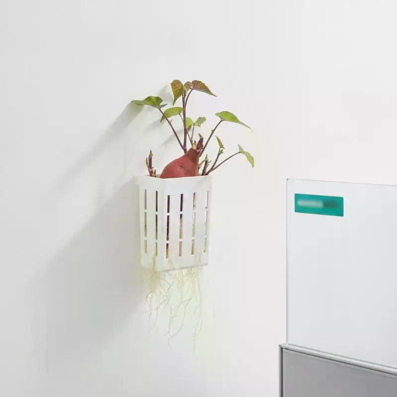 1 Adet Hidroponik Destek Sepet - Aquarium Plants incelemesi ve fiyatı