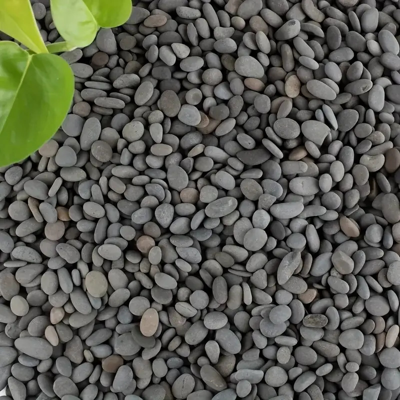 20 Adet Doğal Nehir Kayaları P - Fish Tank Gravel incelemesi ve fiyatı