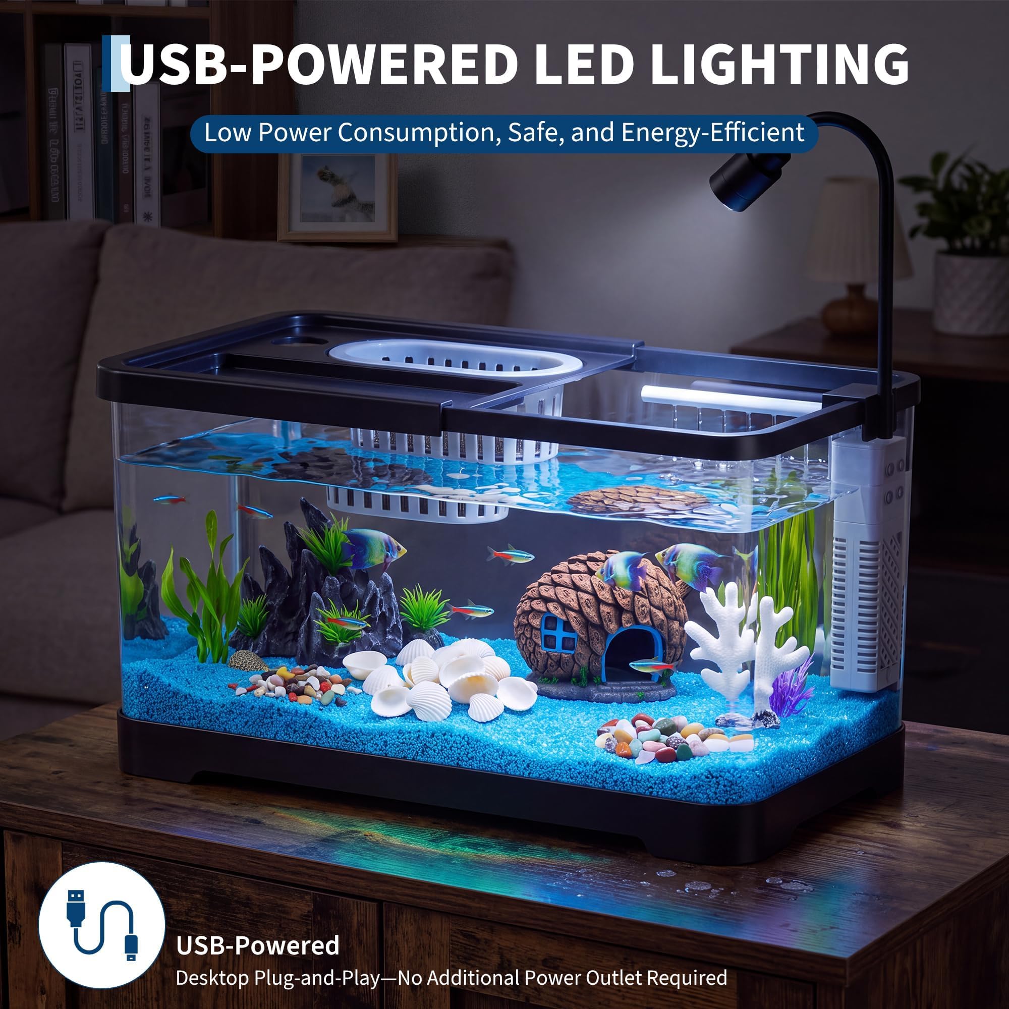 Balık Tankı Başlangıç Seti, Fi - Aquarium Fish Betta incelemesi ve fiyatı