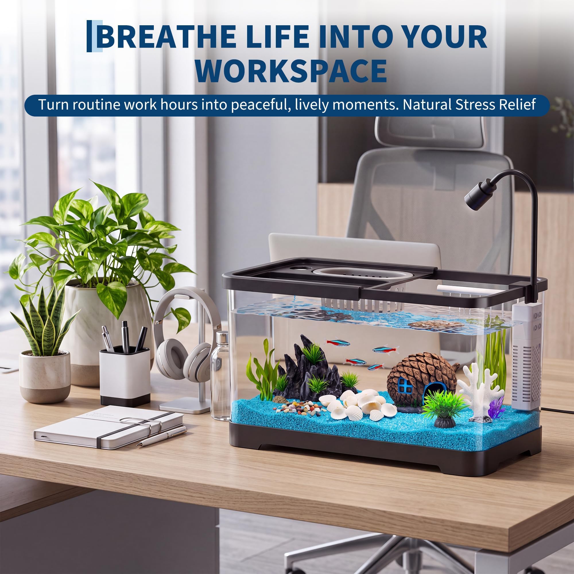 Balık Tankı Başlangıç Seti, Fi - Aquarium Fish Betta incelemesi ve fiyatı