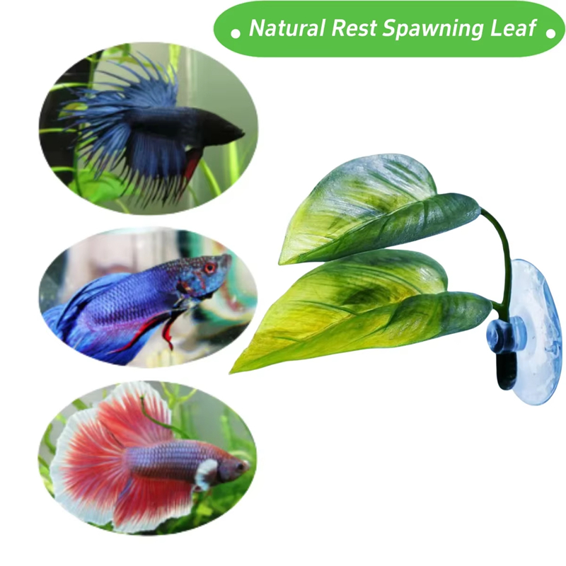 Akvaryum Evcil Hayvan Malzemel - Aquarium Fish Betta incelemesi ve fiyatı