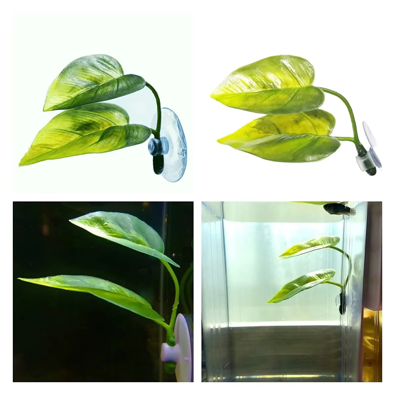 Akvaryum Evcil Hayvan Malzemel - Aquarium Fish Betta incelemesi ve fiyatı