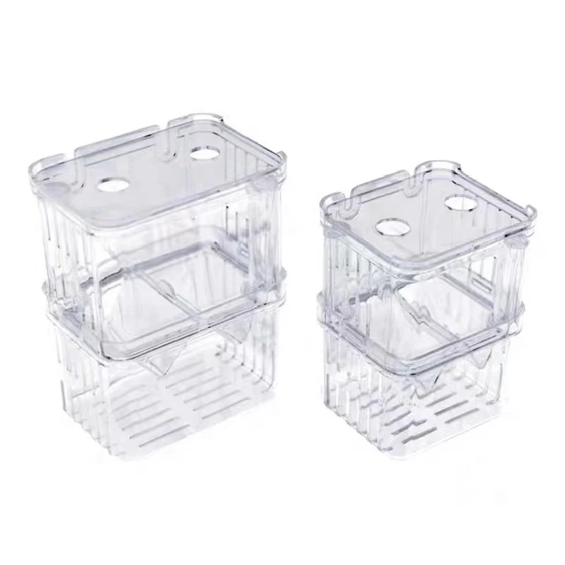 1 Adet Akvaryum Balık Yetiştir - Aquarium Fish Betta incelemesi ve fiyatı