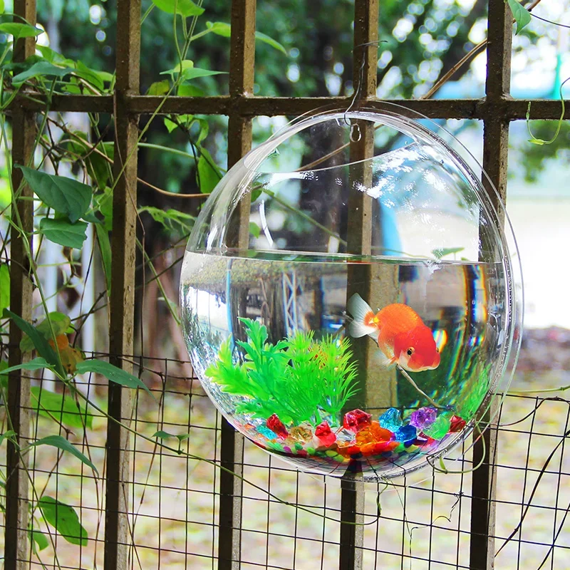 Pinsjar Akrilik Balık Kase Duv - Betta Fish Tank incelemesi ve fiyatı