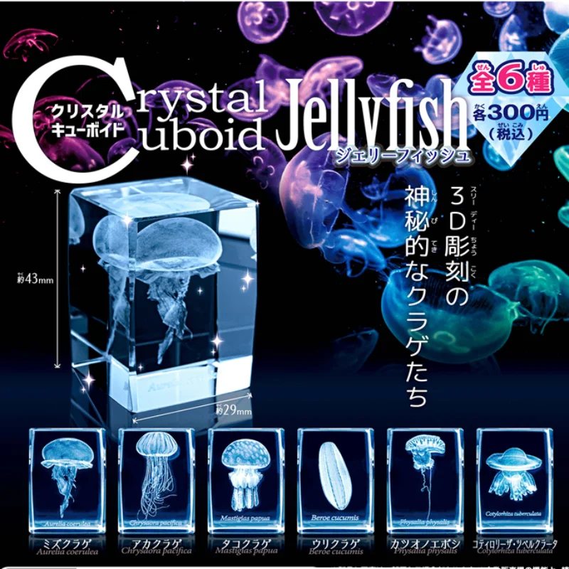 Japonya Gashapon denizanası 3D - Aquarium Fish Keeping incelemesi ve fiyatı