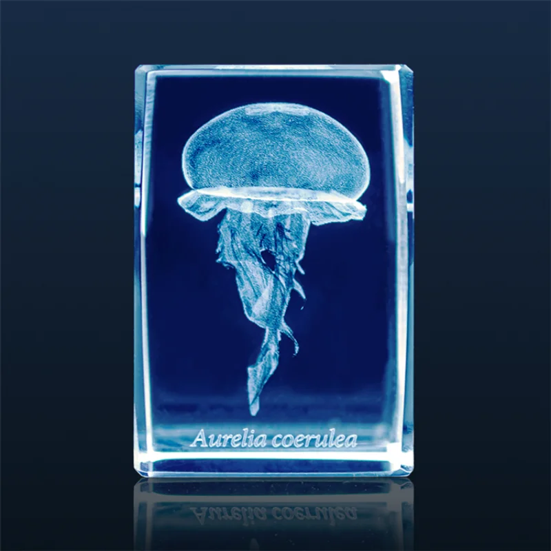 Japonya Gashapon denizanası 3D - Aquarium Fish Keeping incelemesi ve fiyatı