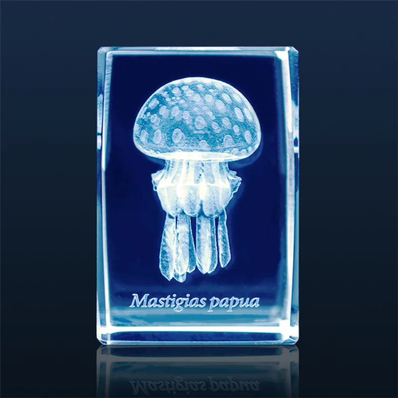 Japonya Gashapon denizanası 3D - Aquarium Fish Keeping incelemesi ve fiyatı