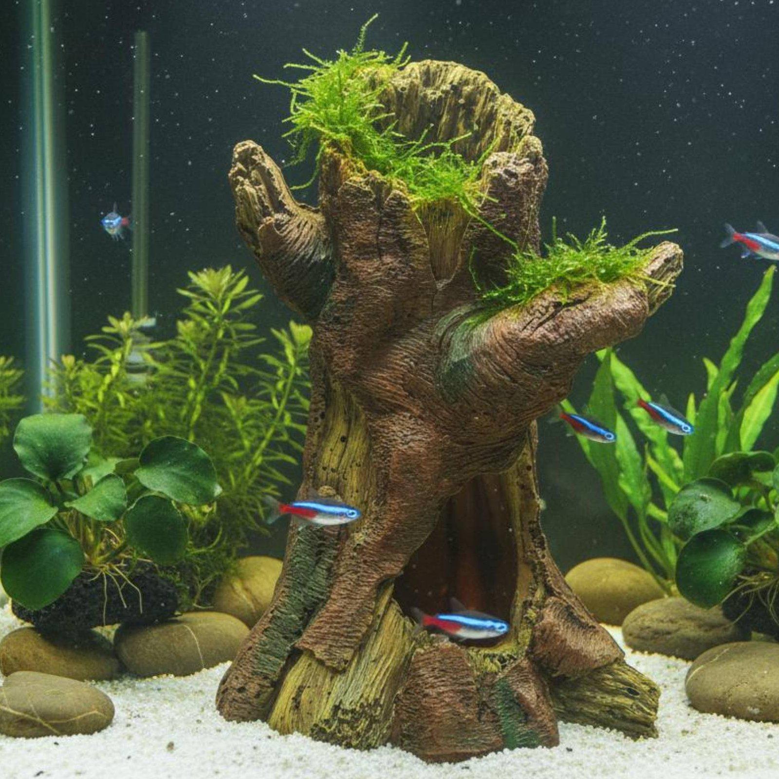 Akvaryum Peyzaj Dekorasyonu Ak - Aquarium Decor incelemesi ve fiyatı