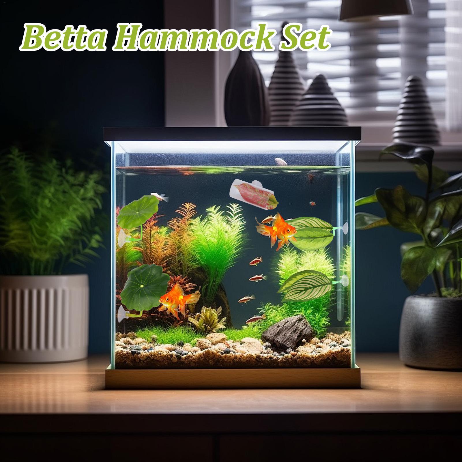 5 Parça Ayarlanabilir Beta Yap - Aquarium Fish Betta incelemesi ve fiyatı