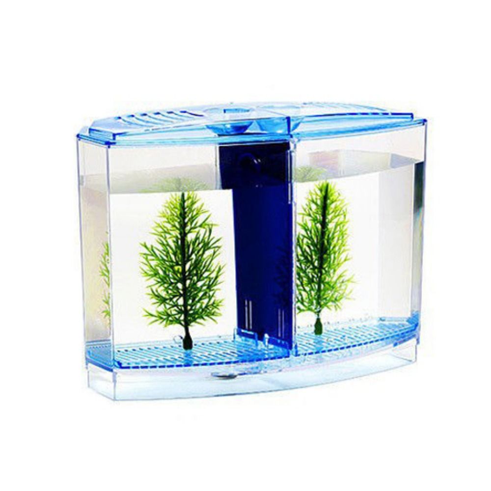Şeffaf Betta balık tankı, çift - Aquarium Fish Betta incelemesi ve fiyatı