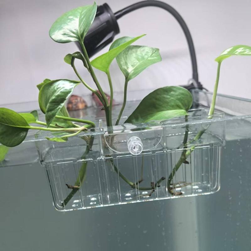 Hidroponik Bitki Sepeti Gıda S - Fish Aquarium Home incelemesi ve fiyatı