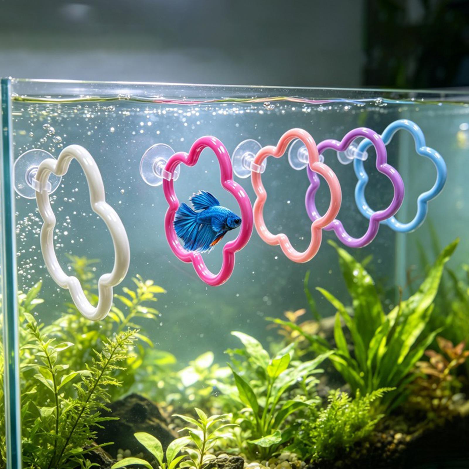 Betta Balığı Oyuncakları 5 Par - Aquarium Fish Betta incelemesi ve fiyatı