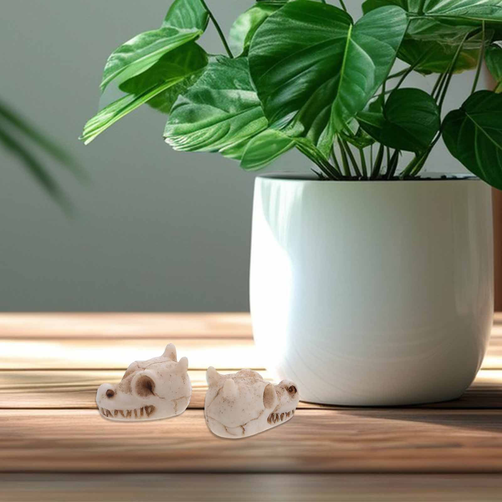 20 Adet Mini Ejderha Kafatası  - Aquarium Decor incelemesi ve fiyatı