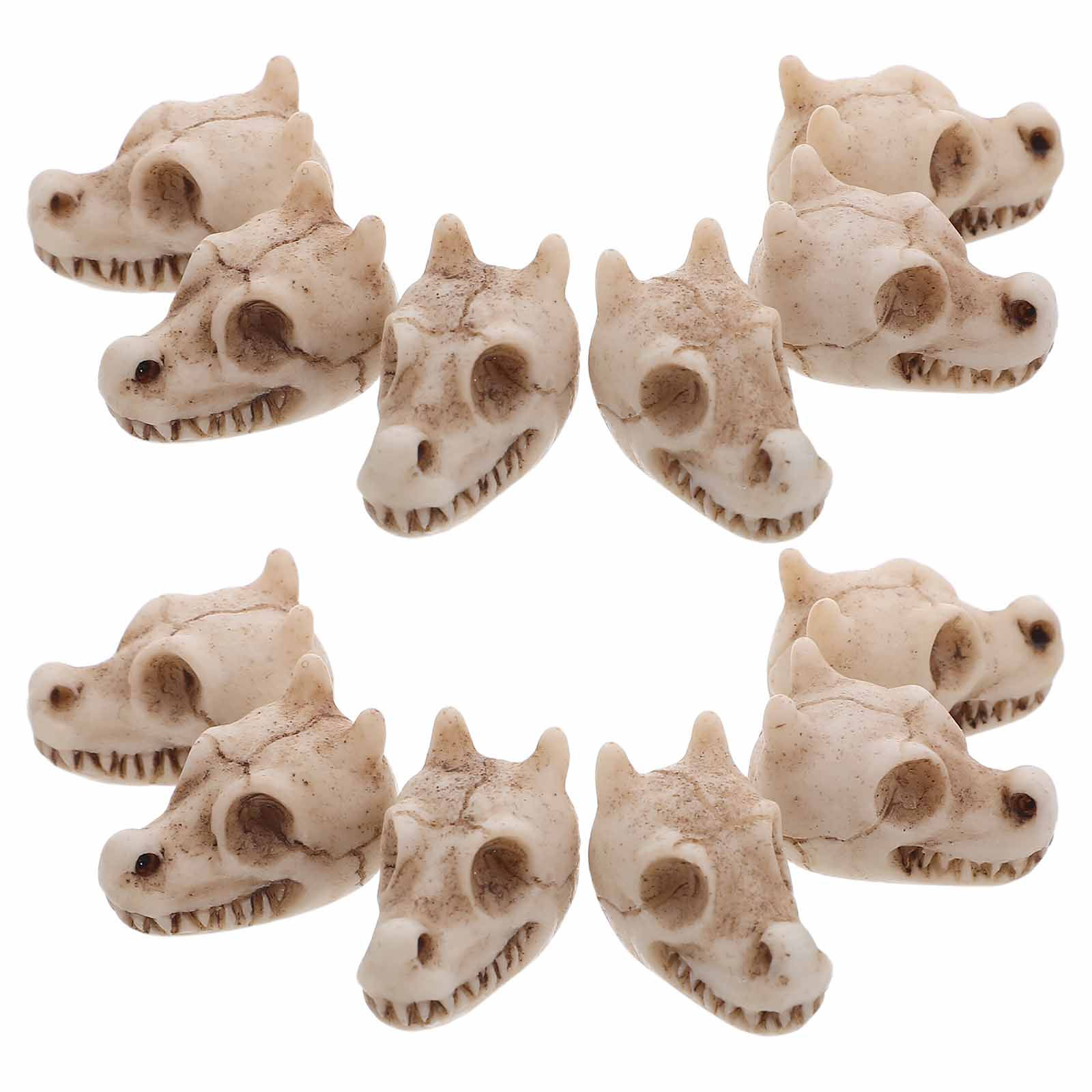 20 Adet Mini Ejderha Kafatası  - Aquarium Decor incelemesi ve fiyatı