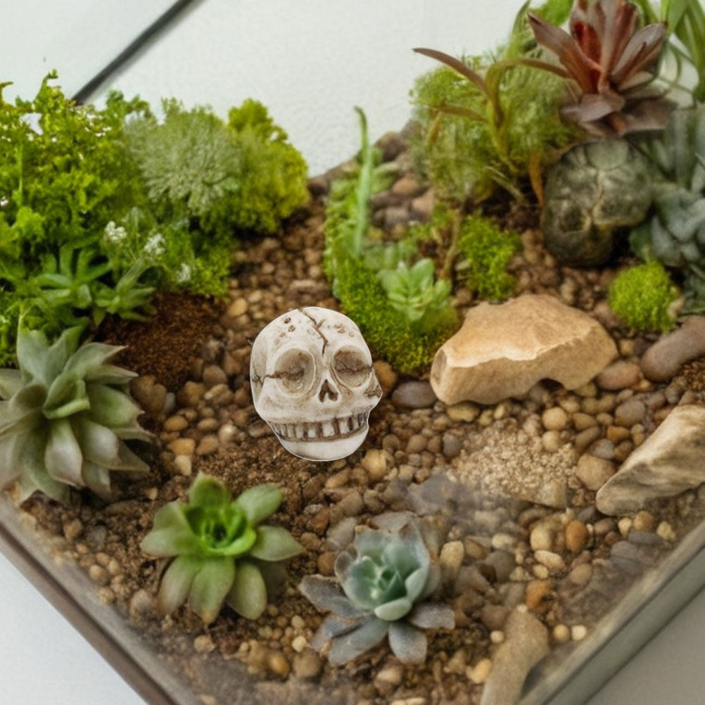 20 Adet Reçine, Güler Yüzlü Ka - Aquarium Decor incelemesi ve fiyatı