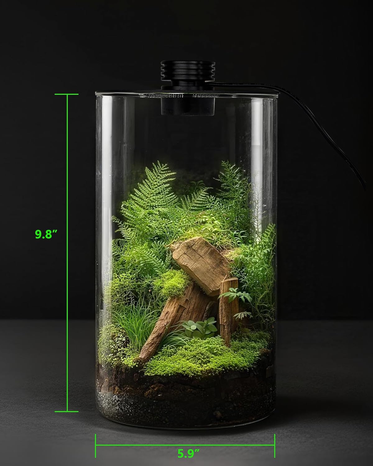 İç Mekan Cam Teraryumu, Büyütm - Betta Fish Tank incelemesi ve fiyatı