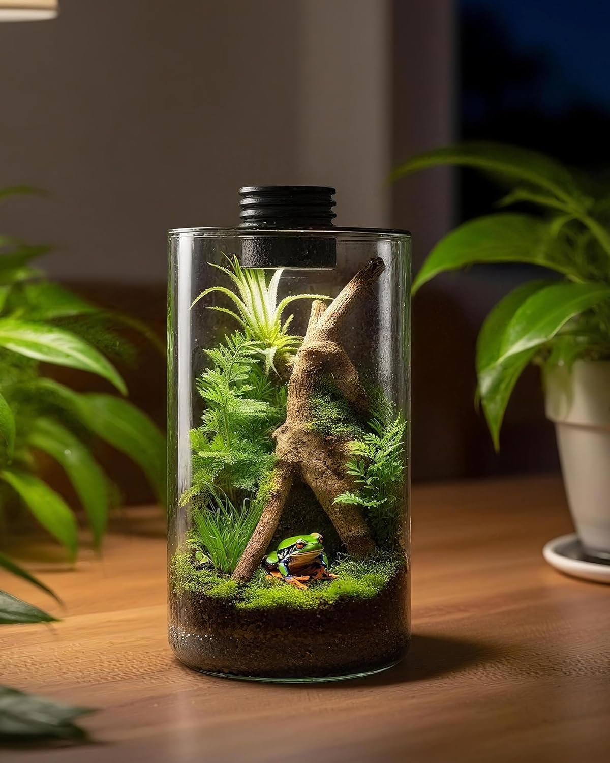 İç Mekan Cam Teraryumu, Büyütm - Betta Fish Tank incelemesi ve fiyatı