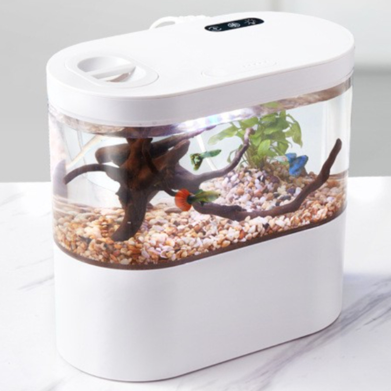Biyokimyasal Filtrasyon Sistem - Betta Fish Tank incelemesi ve fiyatı
