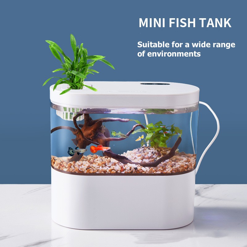 Biyokimyasal Filtrasyon Sistem - Betta Fish Tank incelemesi ve fiyatı