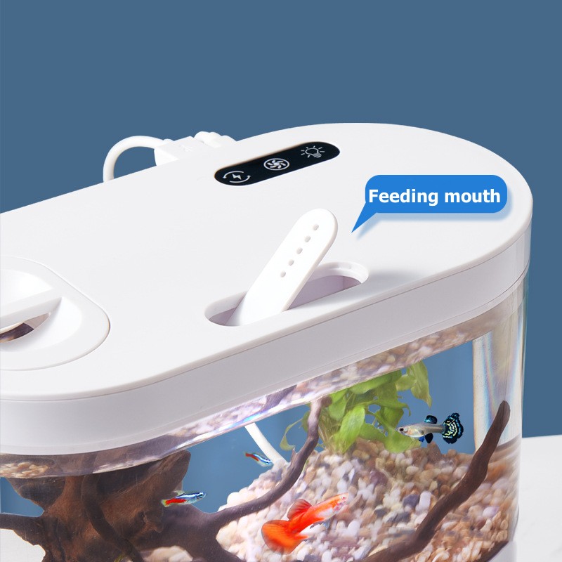 Biyokimyasal Filtrasyon Sistem - Betta Fish Tank incelemesi ve fiyatı