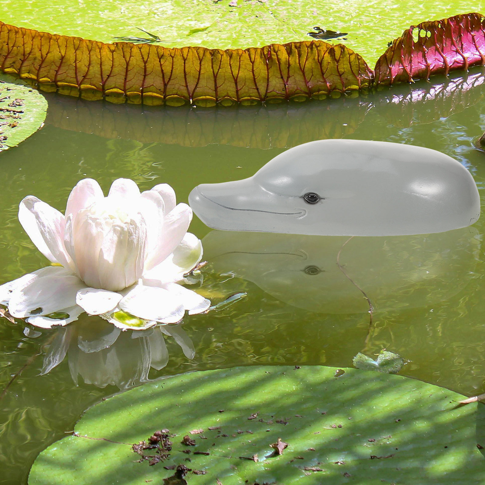 Akvaryumlar, Bahçeler, Balkonl - Aquarium Decor incelemesi ve fiyatı