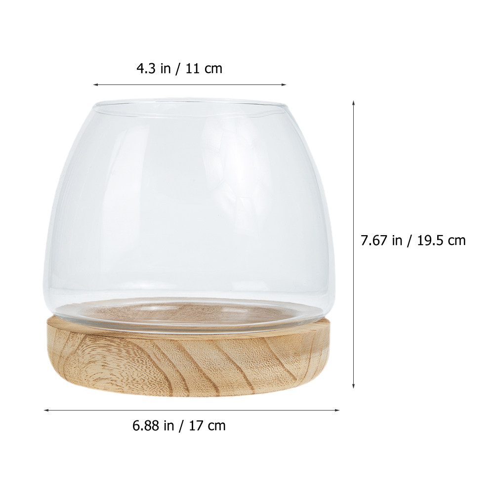 1 Adet Şeffaf Cam Hidroponik B - Aquarium Fish Betta incelemesi ve fiyatı