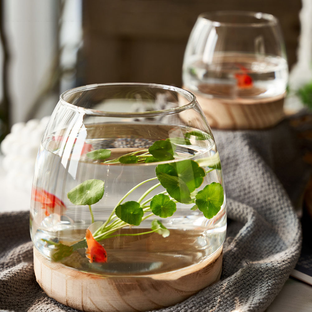 1 Adet Şeffaf Cam Hidroponik B - Aquarium Fish Betta incelemesi ve fiyatı