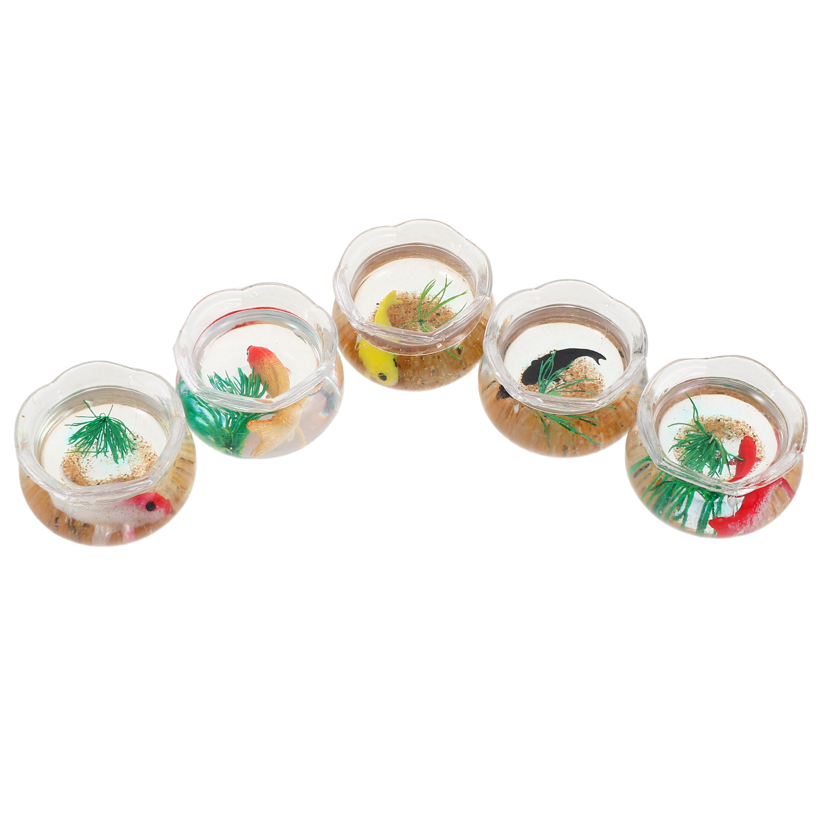 5 Adet Mini Balık Kabı, Gerçek - Aquarium Plants incelemesi ve fiyatı