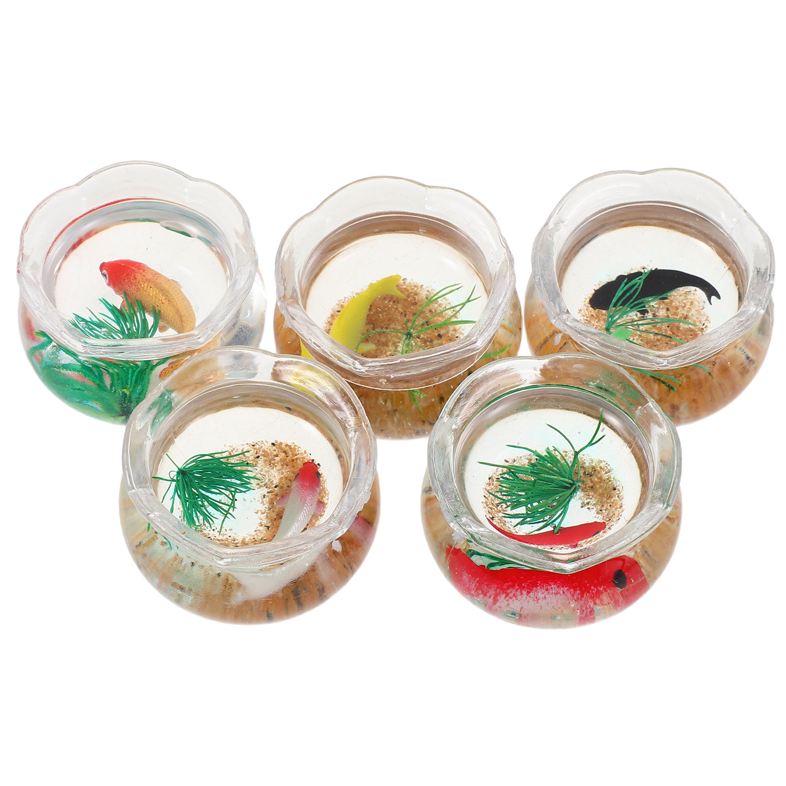 5 Adet Mini Balık Kabı, Gerçek - Aquarium Plants incelemesi ve fiyatı